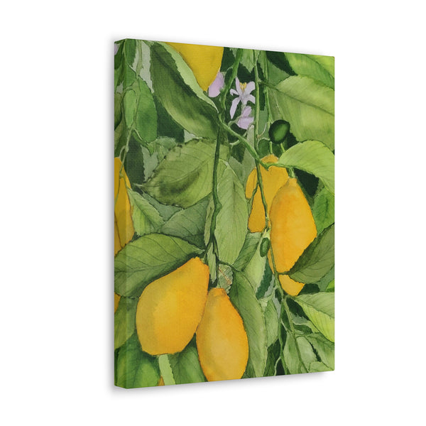 Watercolor Lemons Canvas Gallery Wraps