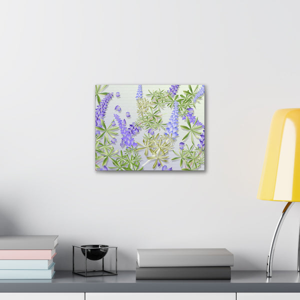 Blue Bonnet Lupins Gallery Wraps