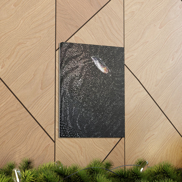 Dragon Study 2  Canvas Gallery Wraps