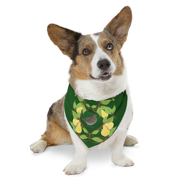 Partridge in a Pear Tree Pet Bandana Collar