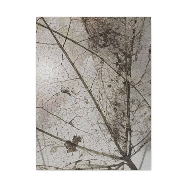 Be Strong Photo Canvas Gallery Wraps