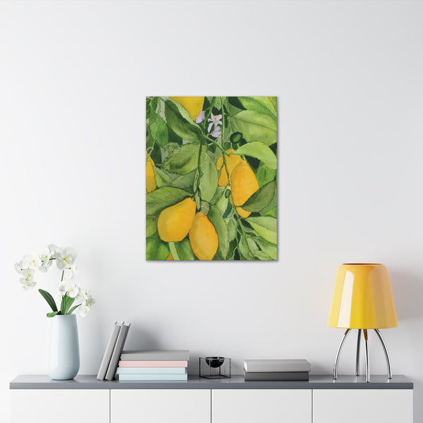 Watercolor Lemons Canvas Gallery Wraps
