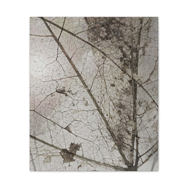 Be Strong Photo Canvas Gallery Wraps