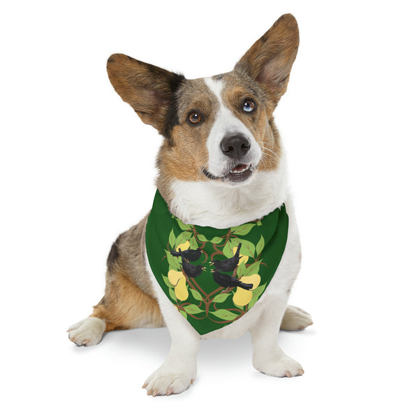 Four Colly Birds of Christmas Pet Bandana Collar