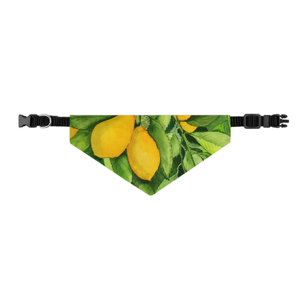 Lemons Pet Bandana Collar