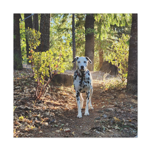 In-the-Woods Canvas Gallery Wraps