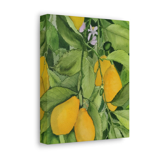 Watercolor Lemons Canvas Gallery Wraps