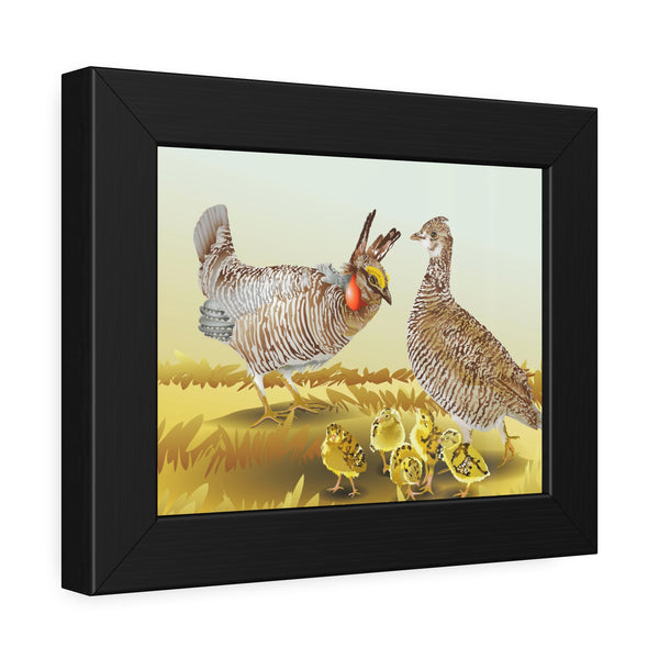 Prairie Chickens Framed Paper Posters