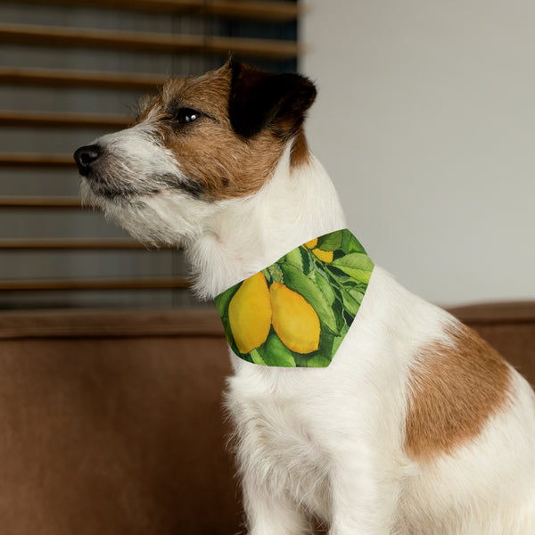 Lemons Pet Bandana Collar