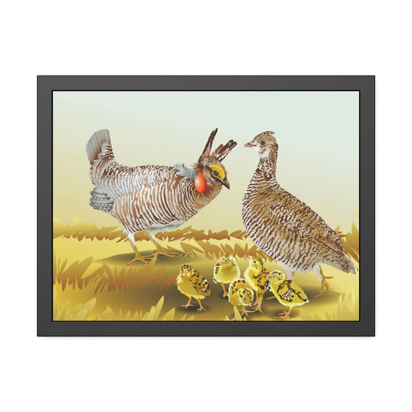 Prairie Chickens Framed Paper Posters