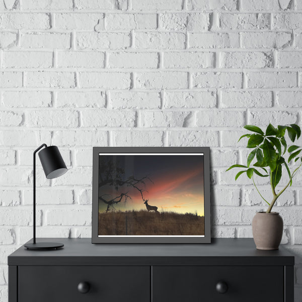 Deer at Sunrise Framed Paper Posters