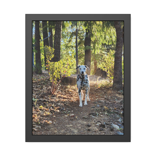 In-the-Woods Framed Paper Posters