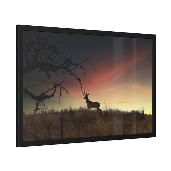 Deer at Sunrise Framed Paper Posters
