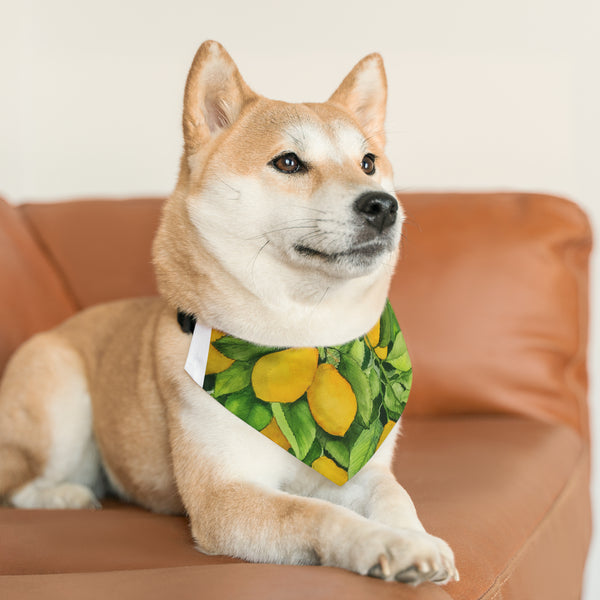 Lemons Pet Bandana Collar