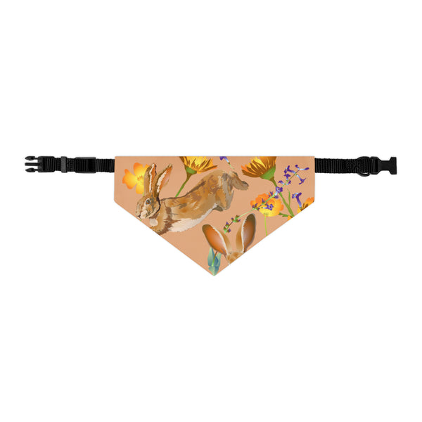 Jack Rabbit Pet Bandana Collar