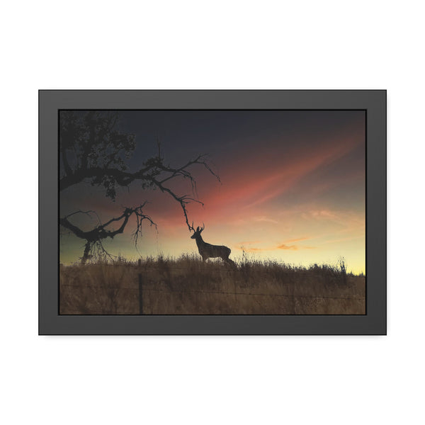 Deer at Sunrise Framed Paper Posters