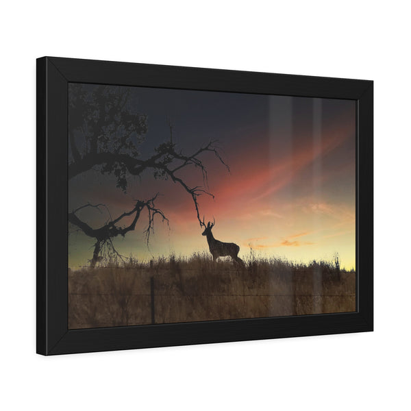 Deer at Sunrise Framed Paper Posters