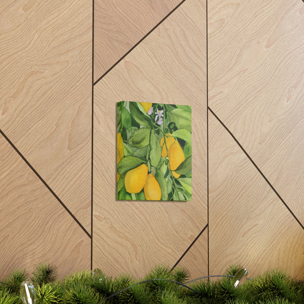 Watercolor Lemons Canvas Gallery Wraps