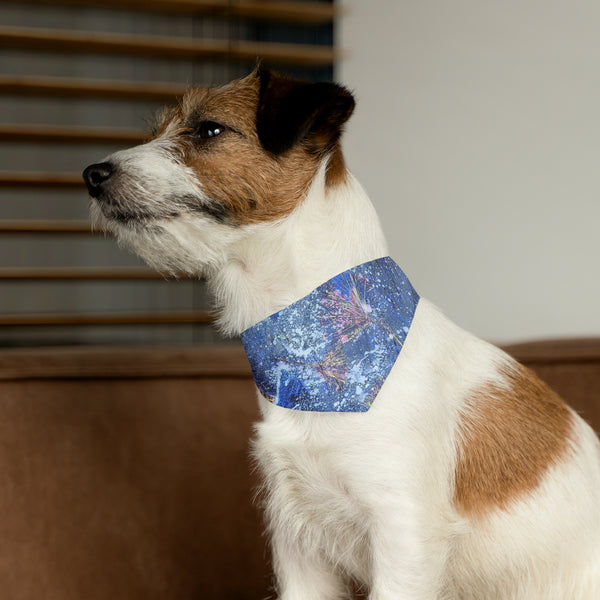 Ginkgo Leaves N Frost Pet Bandana Collar