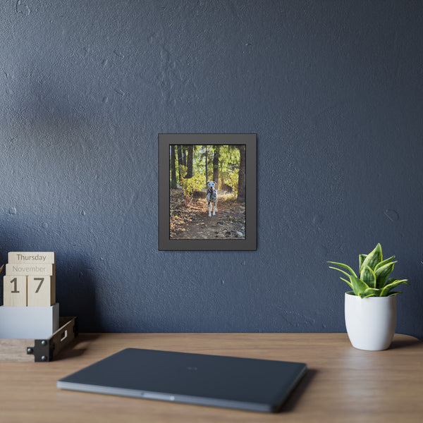 In-the-Woods Framed Paper Posters