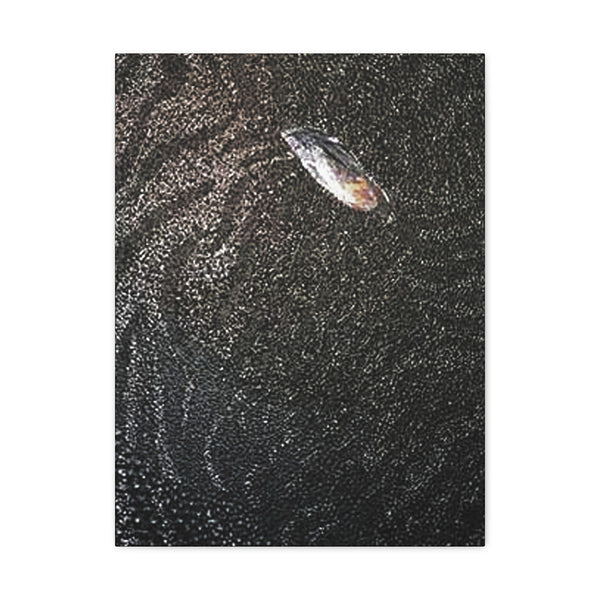 Dragon Study 2  Canvas Gallery Wraps