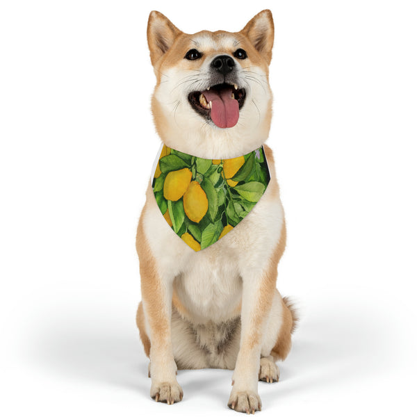 Lemons Pet Bandana Collar