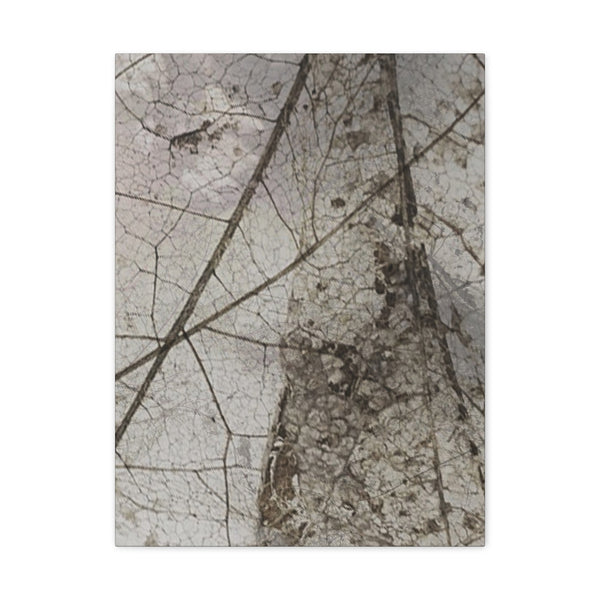 Be Strong Photo Canvas Gallery Wraps