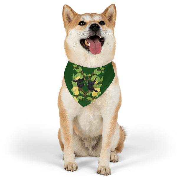 Four Colly Birds of Christmas Pet Bandana Collar