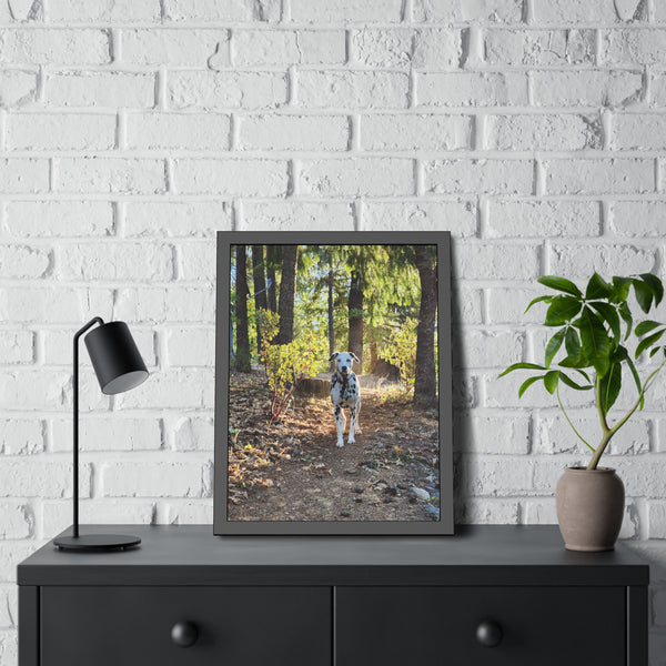 In-the-Woods Framed Paper Posters