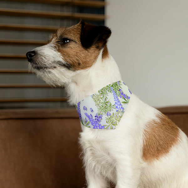 Lupin Pet Bandana Collar