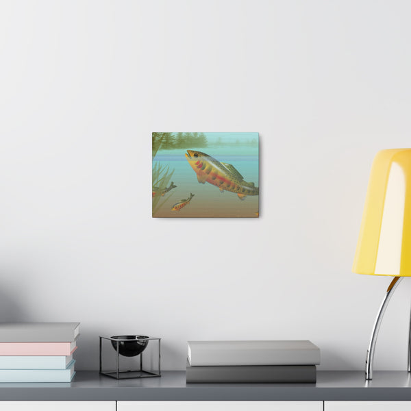 Golden Trout Canvas Gallery Wraps