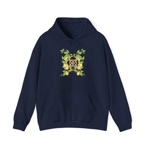 Five Golden Rings of Christmas  Unisex Heavy Blend™ Hooded Sweatshirt
