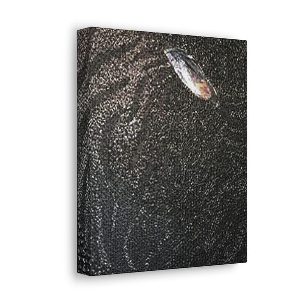 Dragon Study 2  Canvas Gallery Wraps