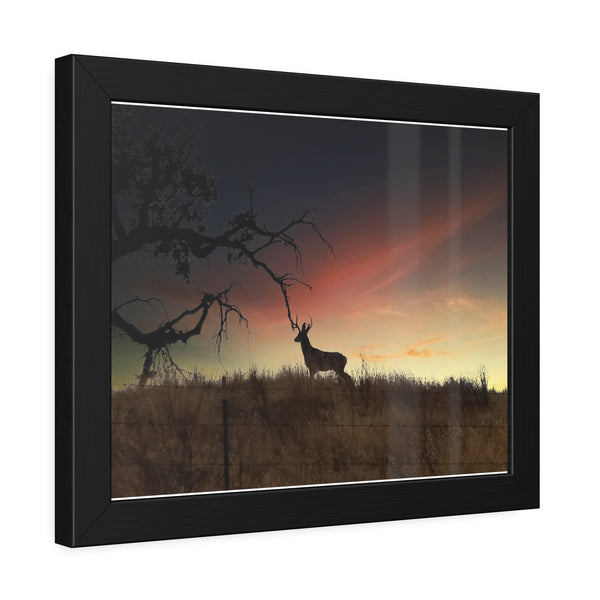 Deer at Sunrise Framed Paper Posters