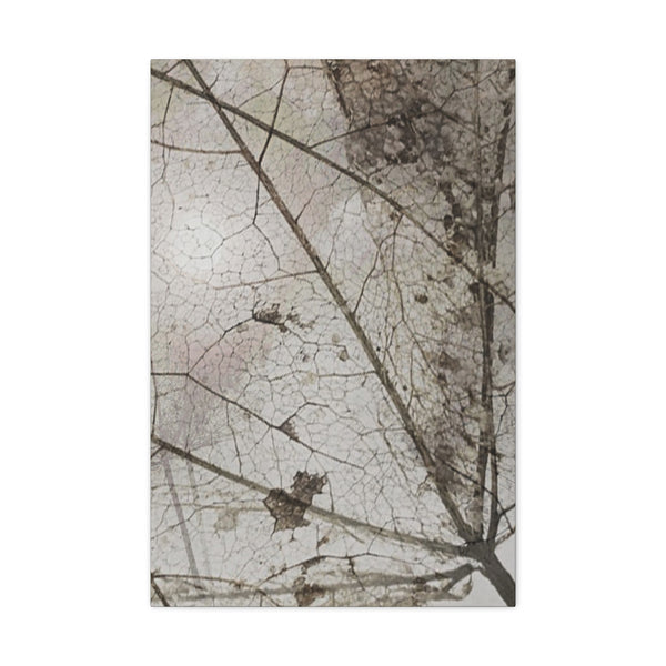 Be Strong Photo Canvas Gallery Wraps