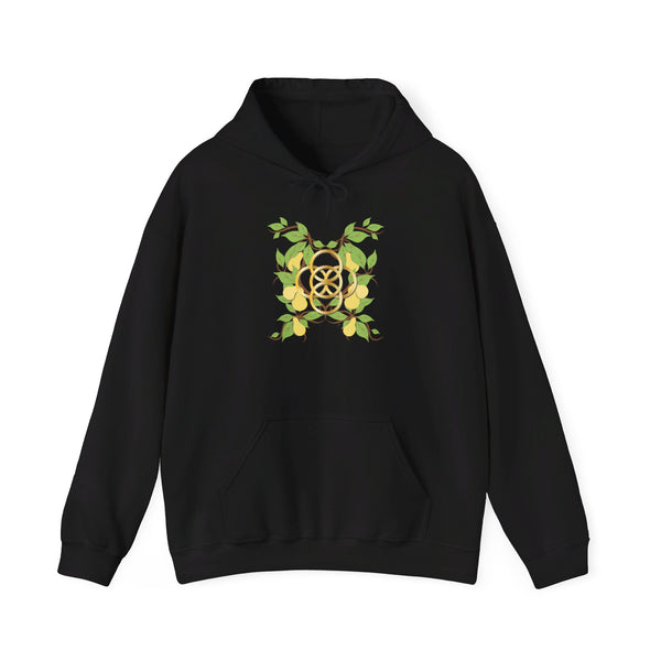 Five Golden Rings of Christmas  Unisex Heavy Blend™ Hooded Sweatshirt