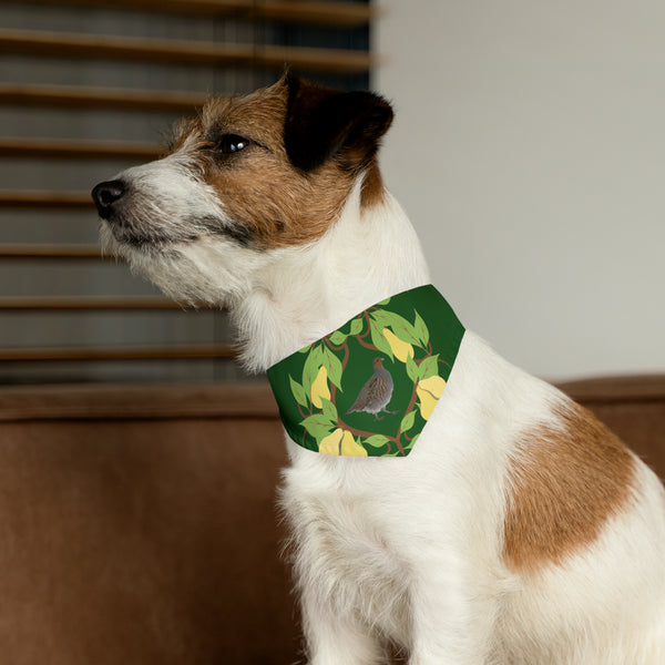 Partridge in a Pear Tree Pet Bandana Collar