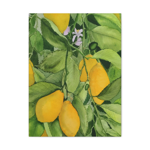 Watercolor Lemons Canvas Gallery Wraps