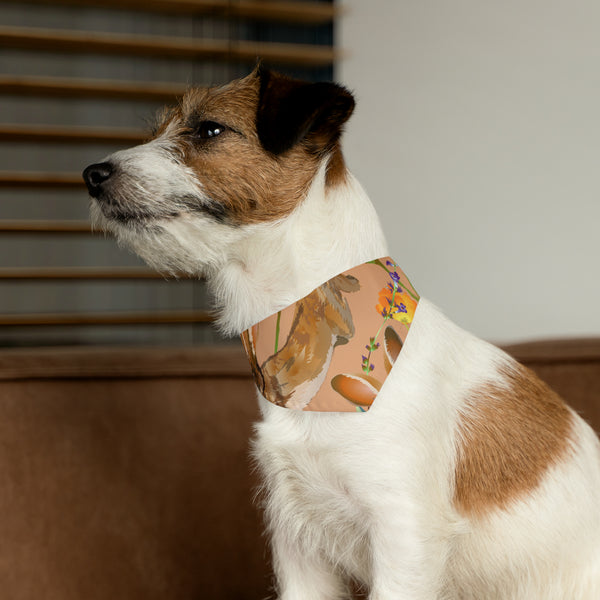 Jack Rabbit Pet Bandana Collar