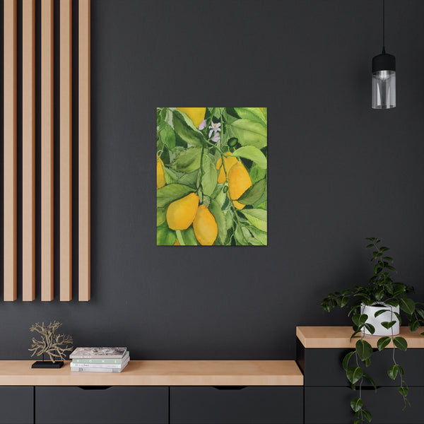 Watercolor Lemons Canvas Gallery Wraps