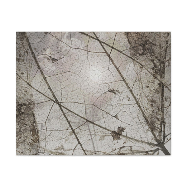 Be Strong Photo Canvas Gallery Wraps