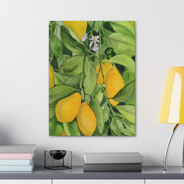 Watercolor Lemons Canvas Gallery Wraps