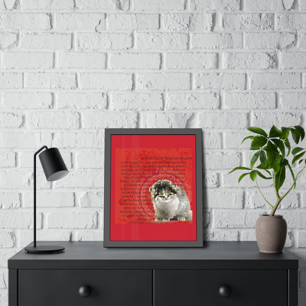 Love Pallas Cat Framed Paper Posters