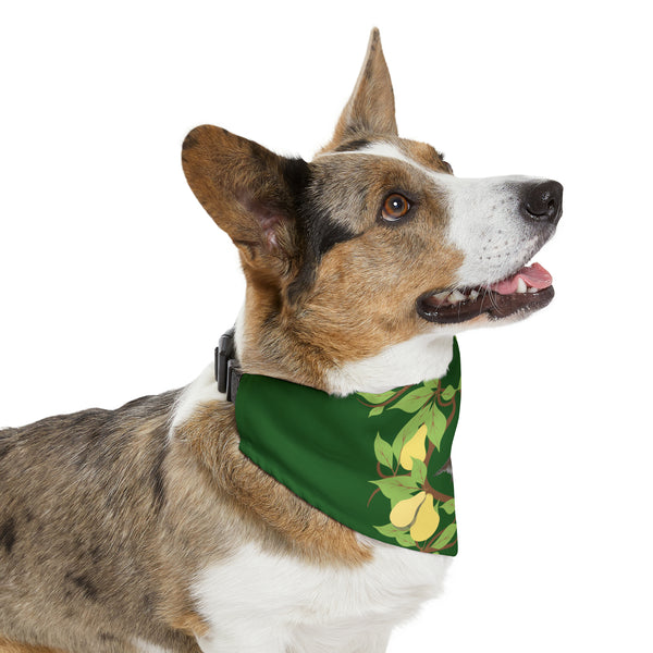 Partridge in a Pear Tree Pet Bandana Collar