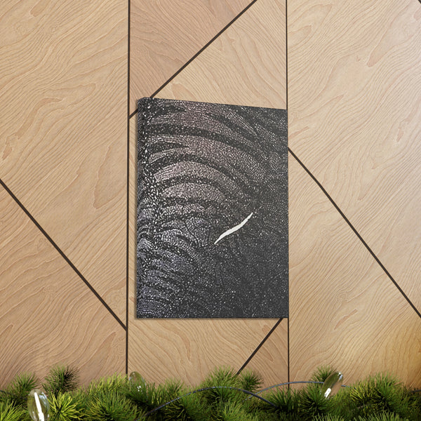 Dragon Study   Canvas Gallery Wraps