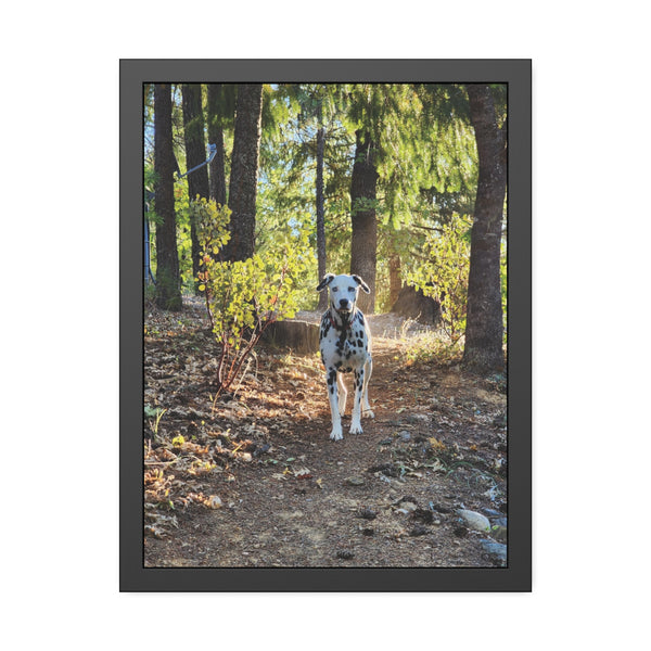 In-the-Woods Framed Paper Posters