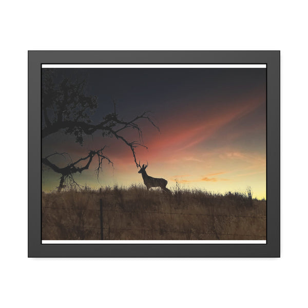 Deer at Sunrise Framed Paper Posters