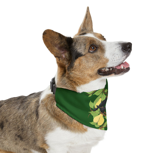 Four Colly Birds of Christmas Pet Bandana Collar