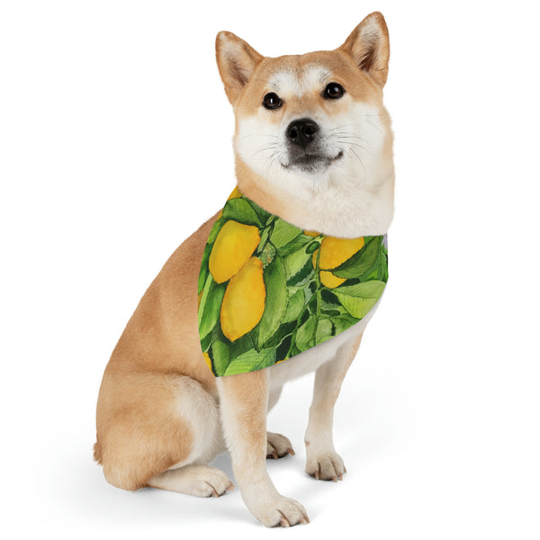 Lemons Pet Bandana Collar
