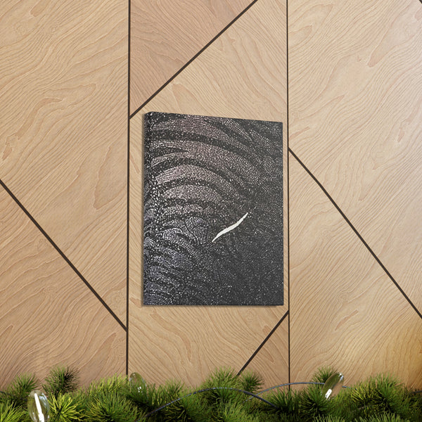 Dragon Study   Canvas Gallery Wraps